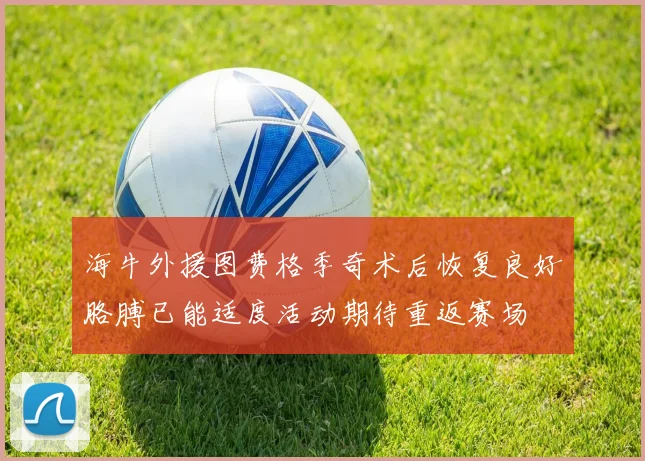 海牛外援图费格季奇术后恢复良好胳膊已能适度活动期待重返赛场