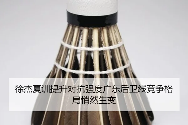徐杰夏训提升对抗强度广东后卫线竞争格局悄然生变