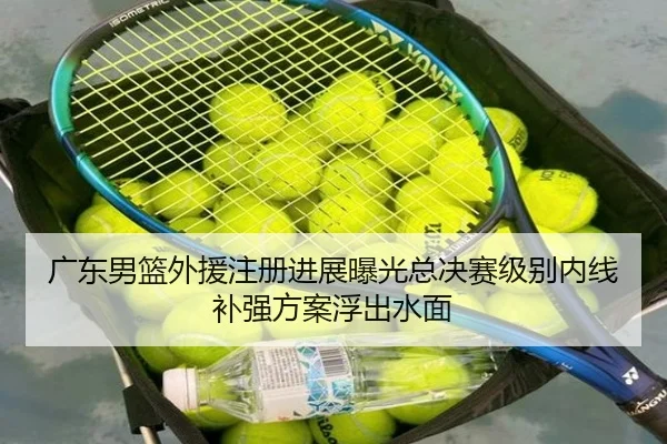 广东男篮外援注册进展曝光总决赛级别内线补强方案浮出水面